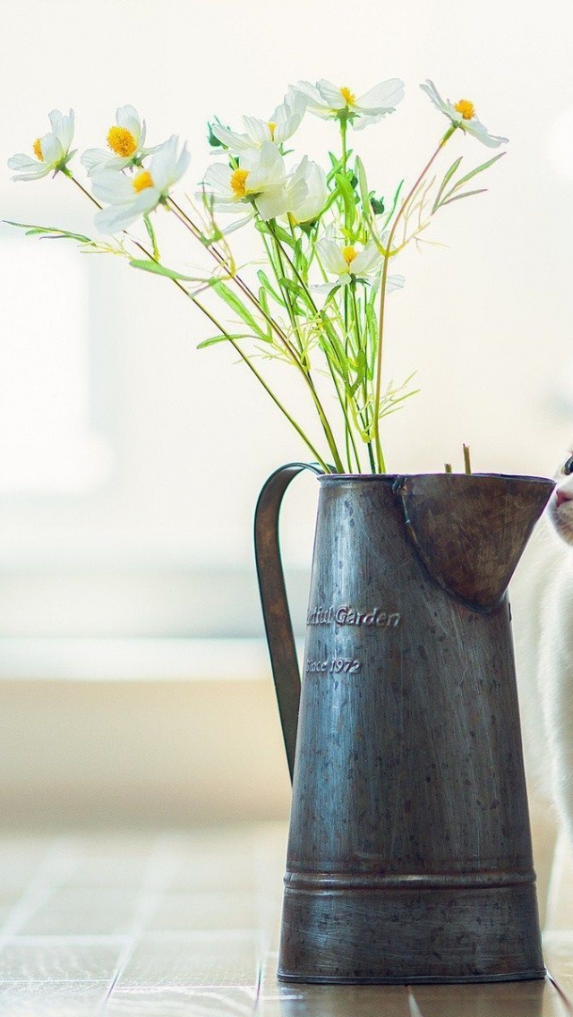 Cat Kitten Vase Flowers