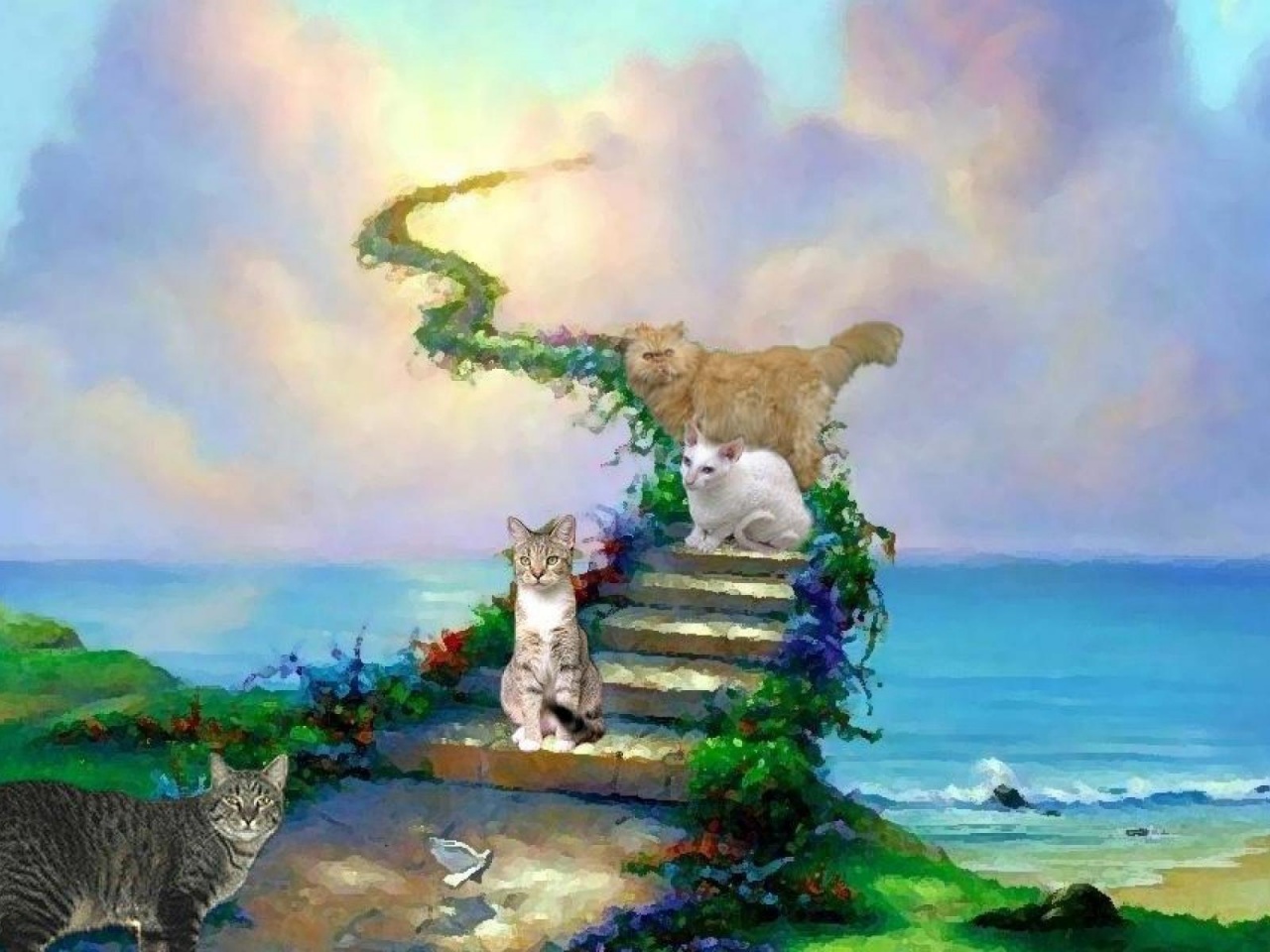 Cats And Heaven