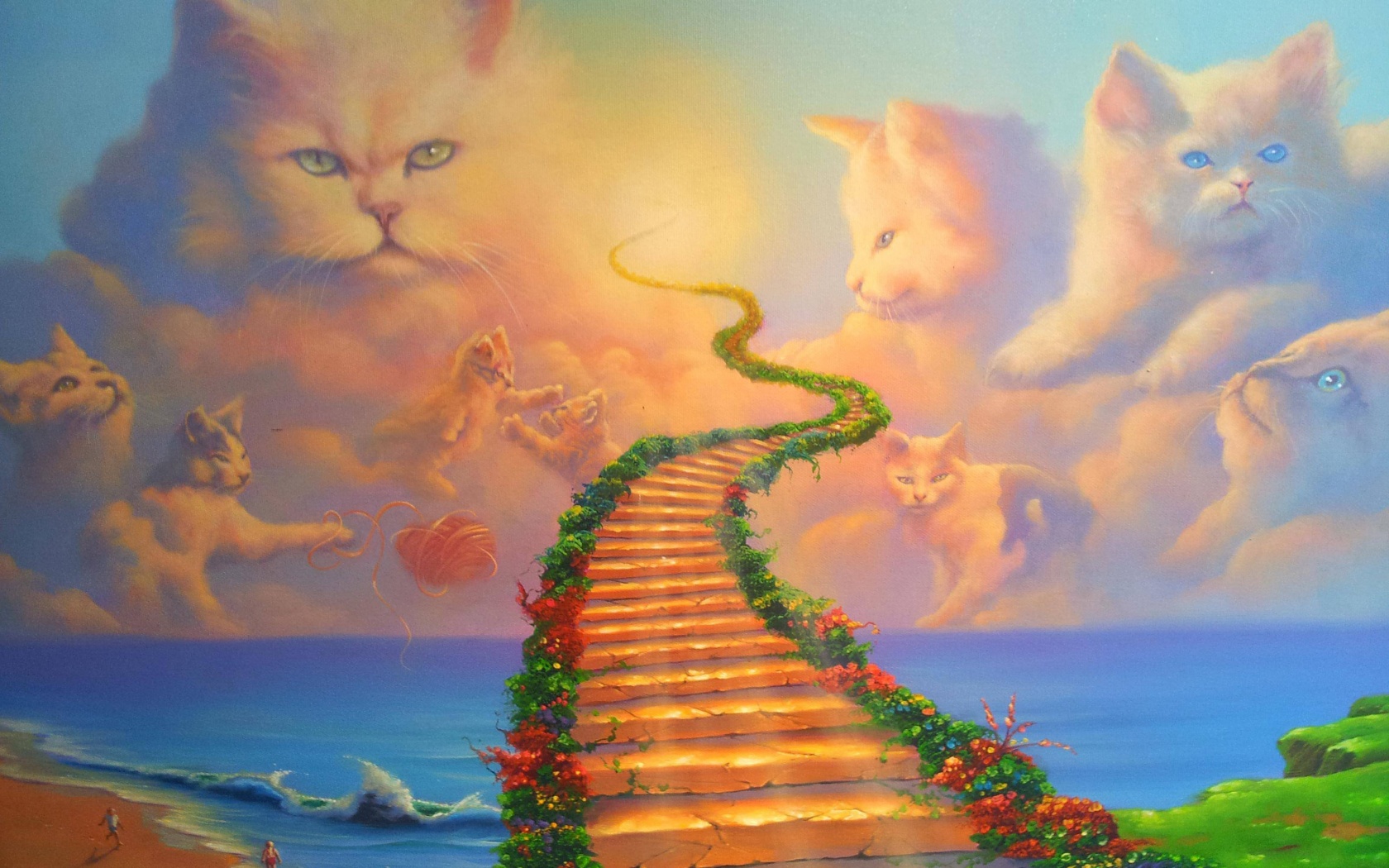 Cats Heaven