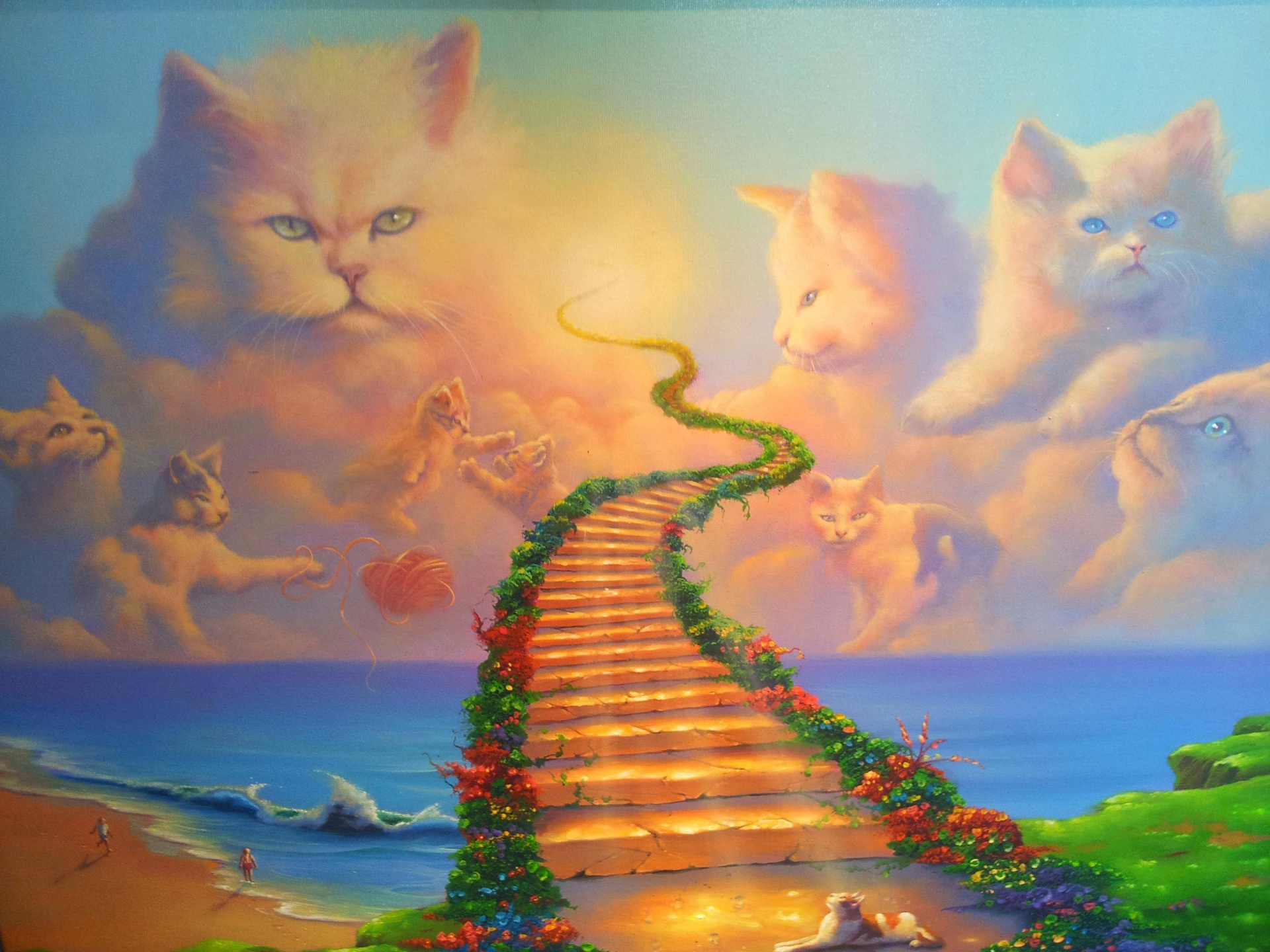 Cats Heaven