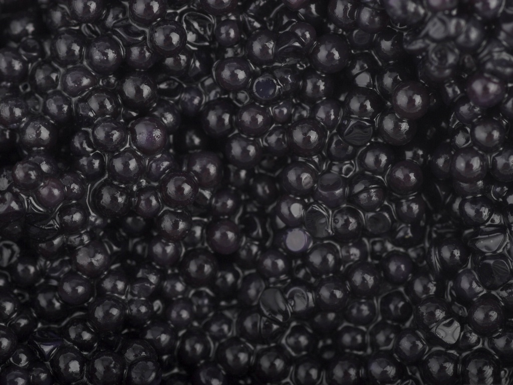 Caviar Macro