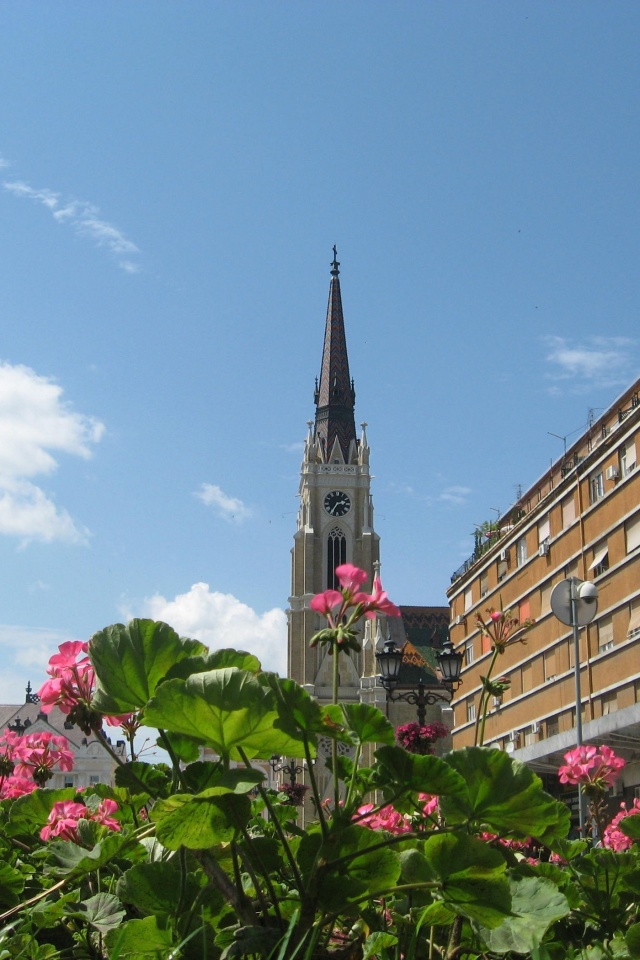 Centar Novi Sad Vojvodina Serbia