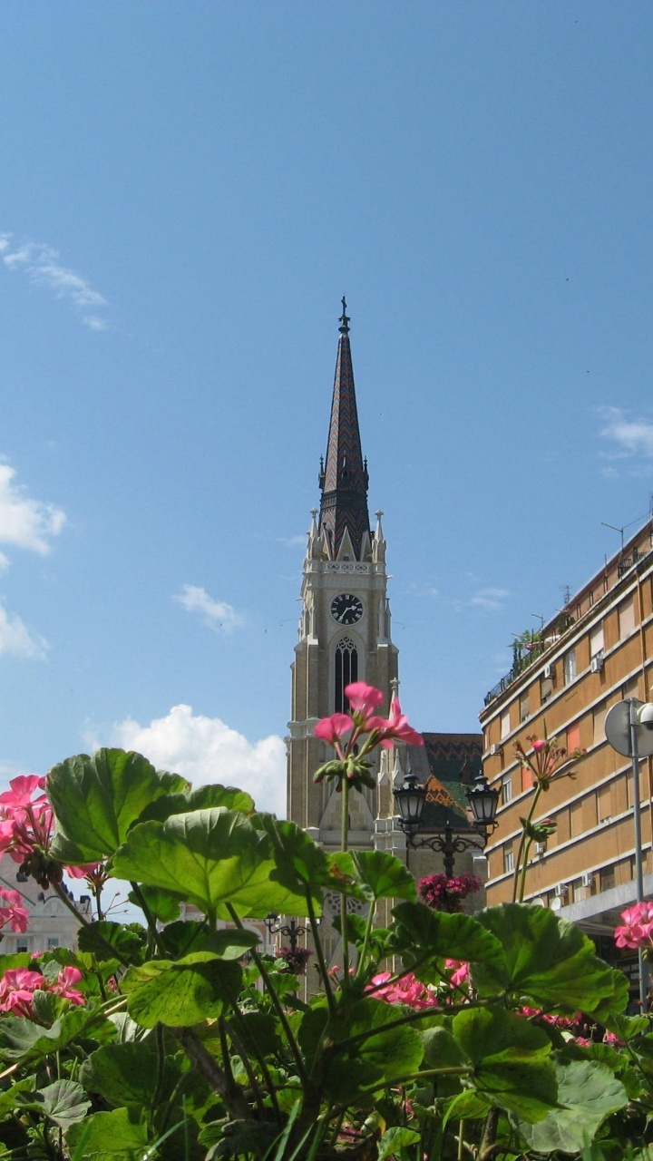 Centar Novi Sad Vojvodina Serbia