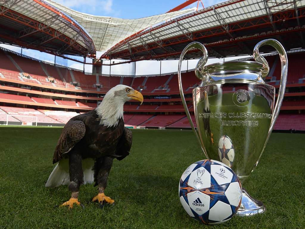 Champions League Final Lisbon 2014