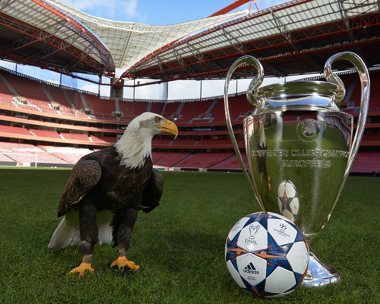 Champions League Final Lisbon 2014