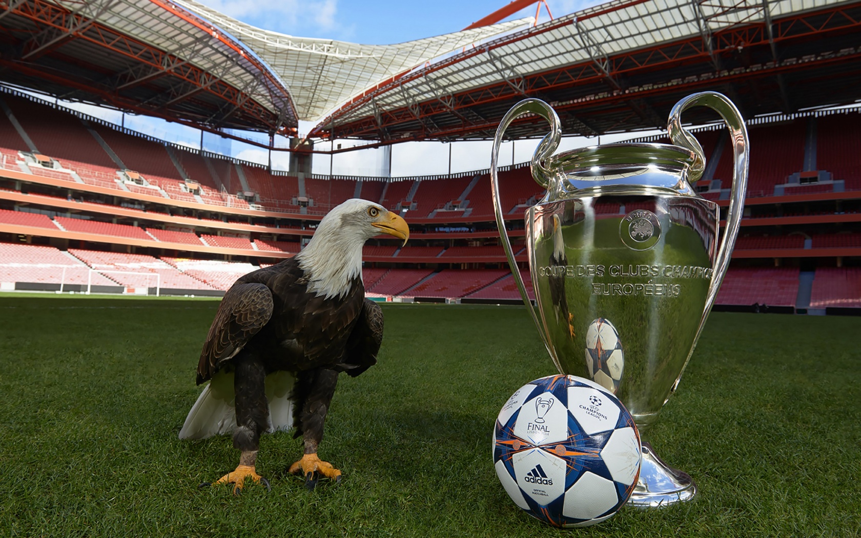 Champions League Final Lisbon 2014