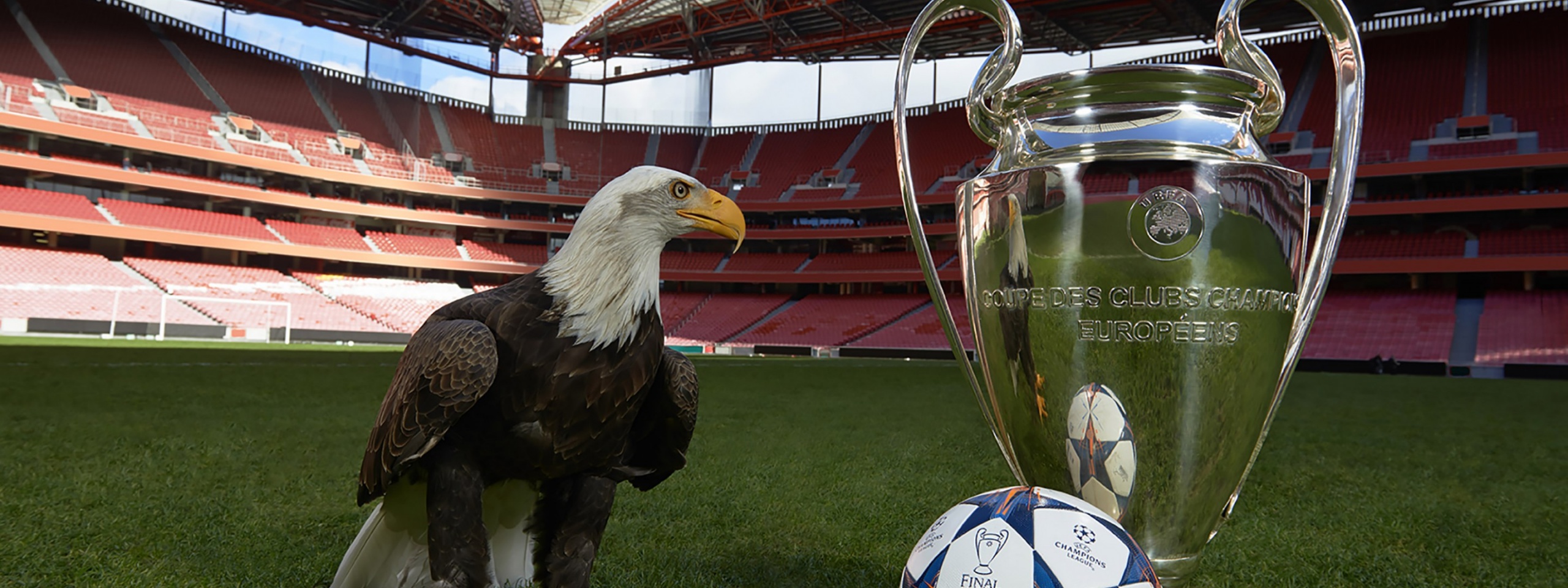 Champions League Final Lisbon 2014