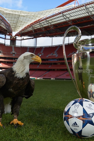 Champions League Final Lisbon 2014