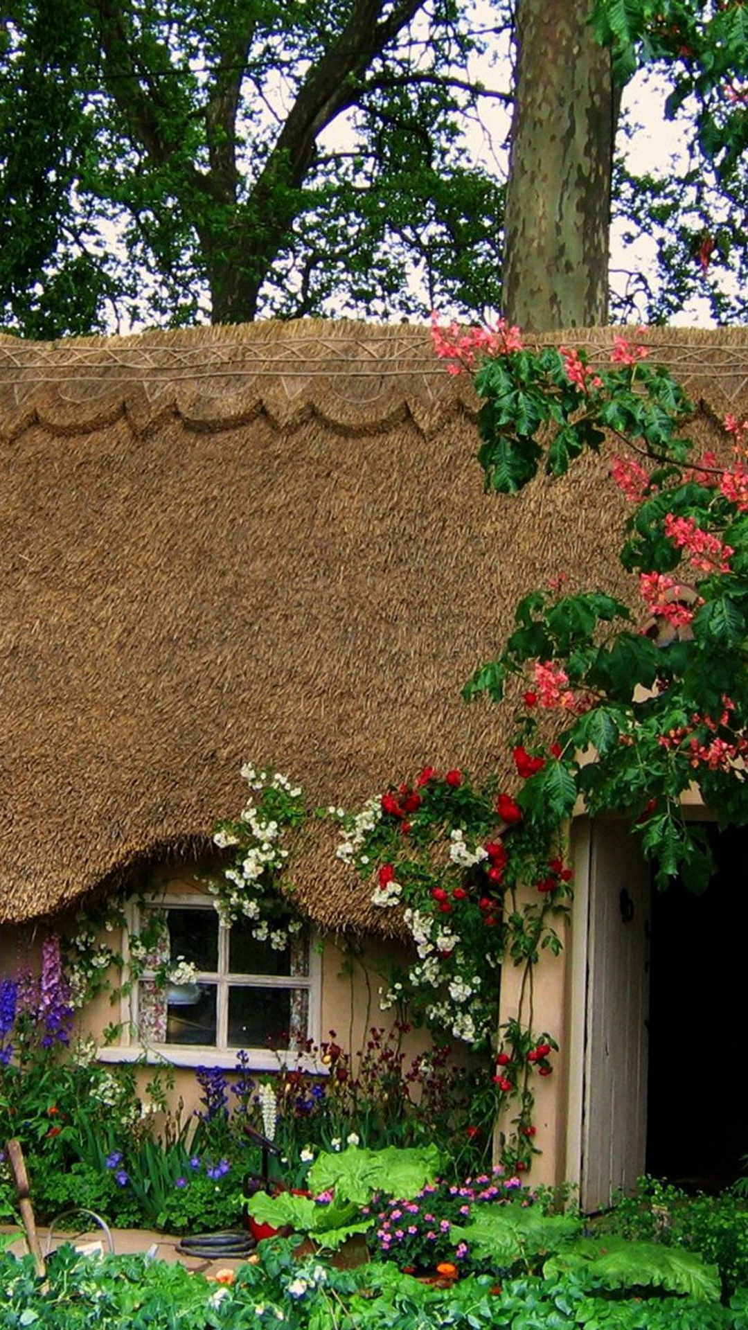 Chelsea Flower Show