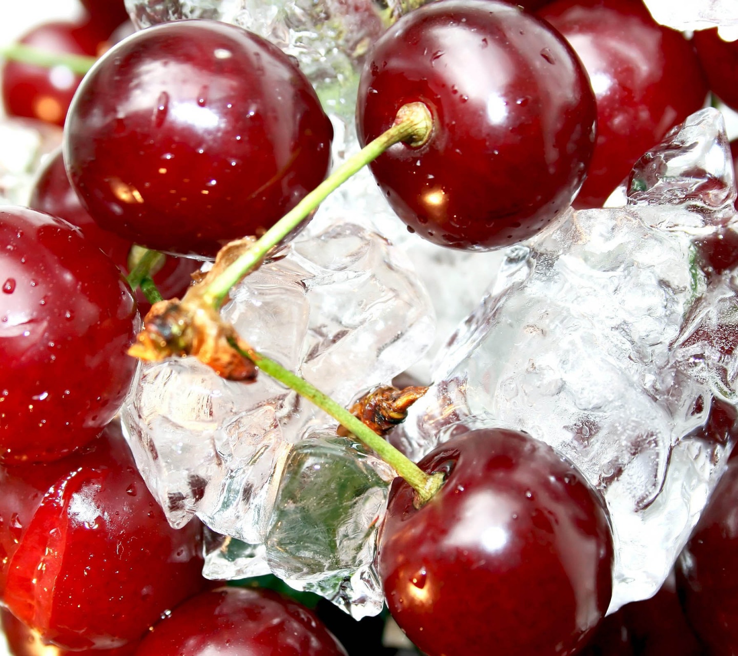 Cherries On Ice Cubes