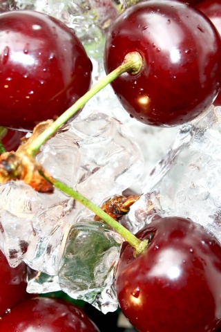 Cherries On Ice Cubes