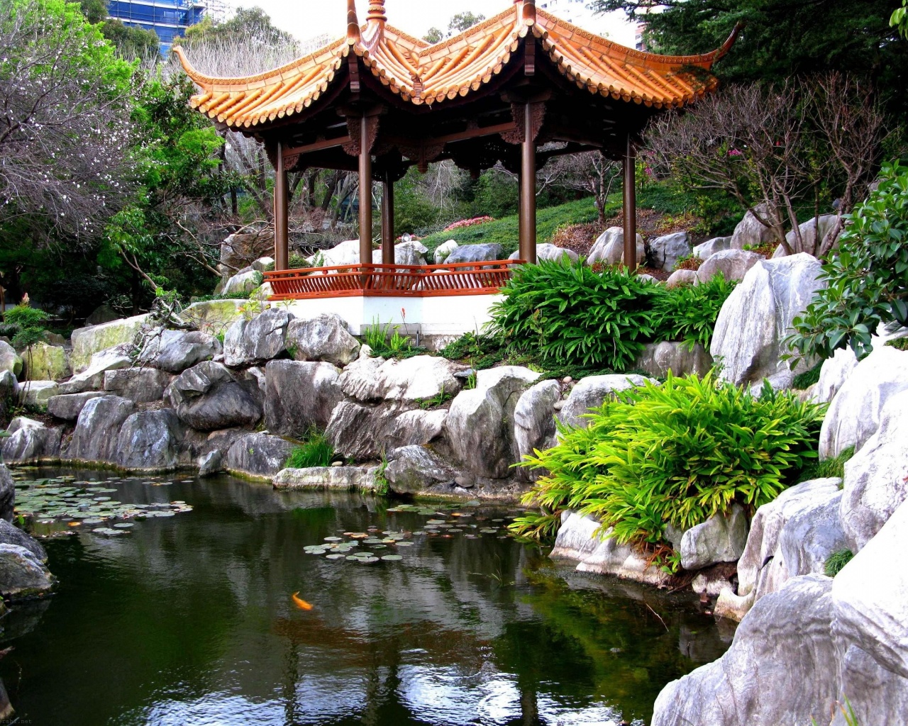 Chinese Garden Sydney Nsw Australia