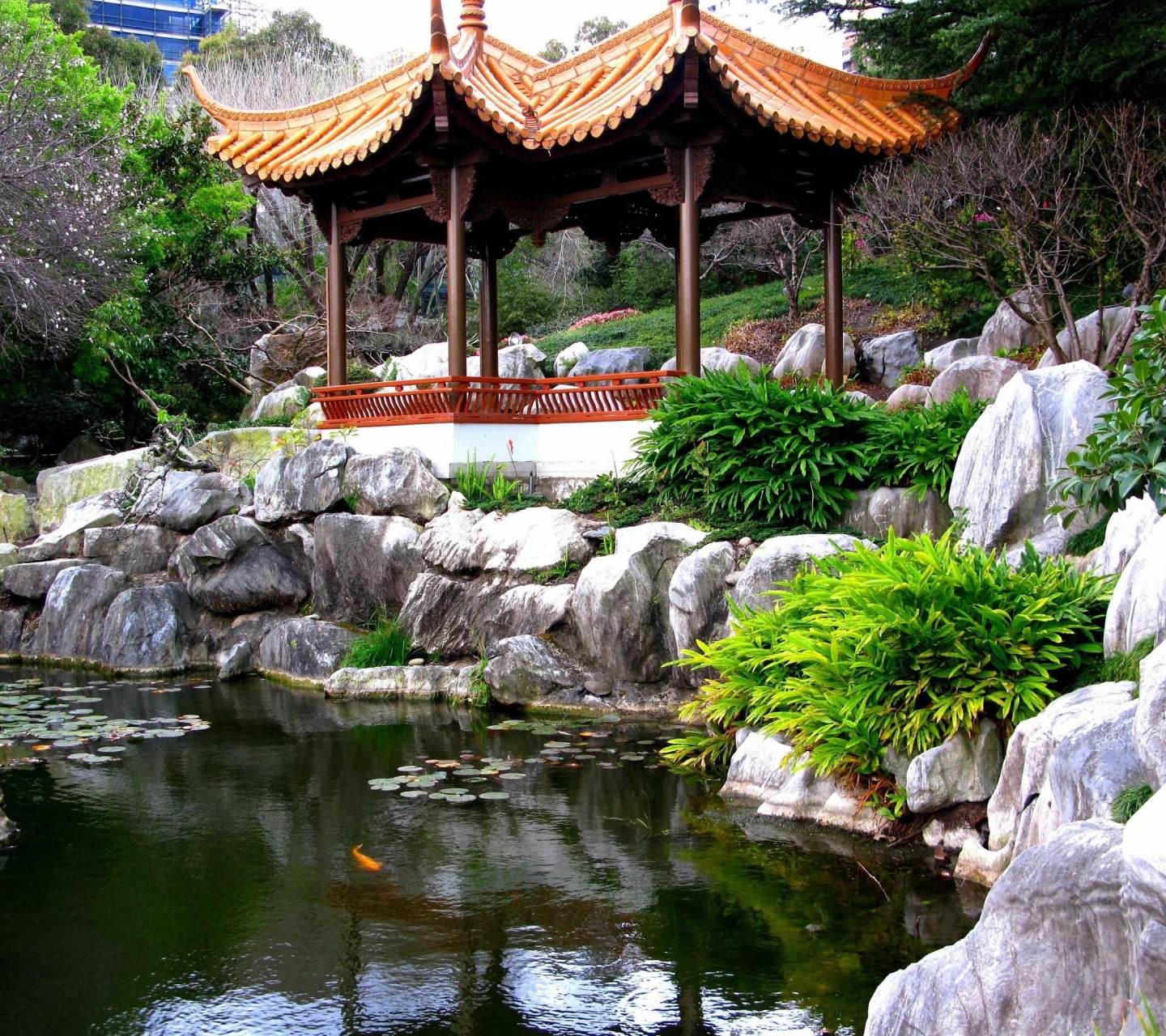 Chinese Garden Sydney Nsw Australia