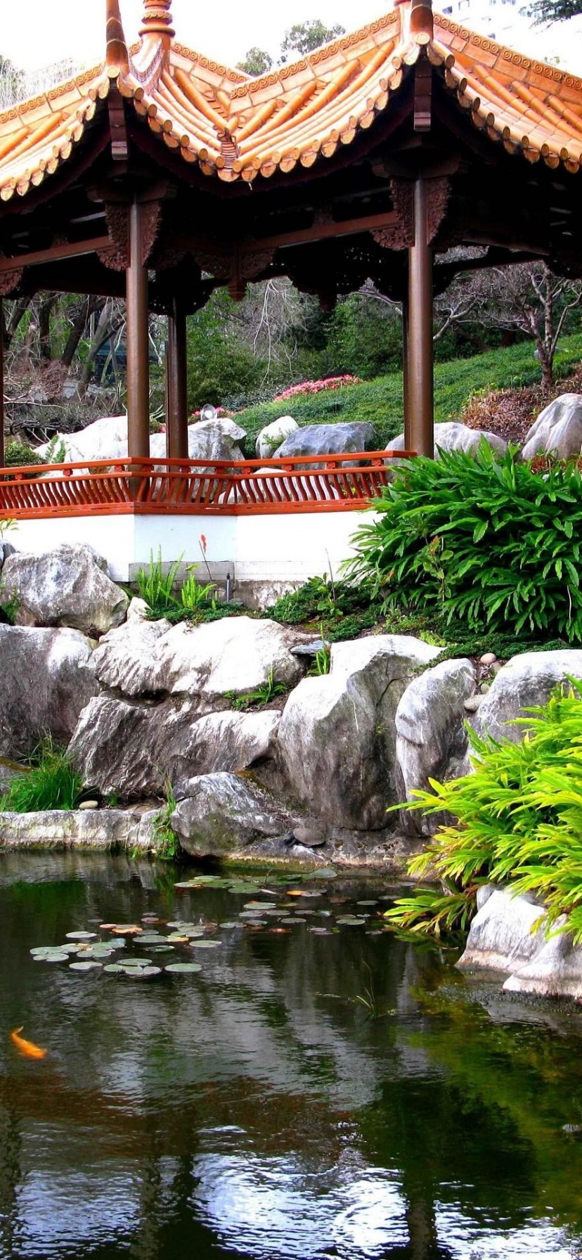 Chinese Garden Sydney Nsw Australia