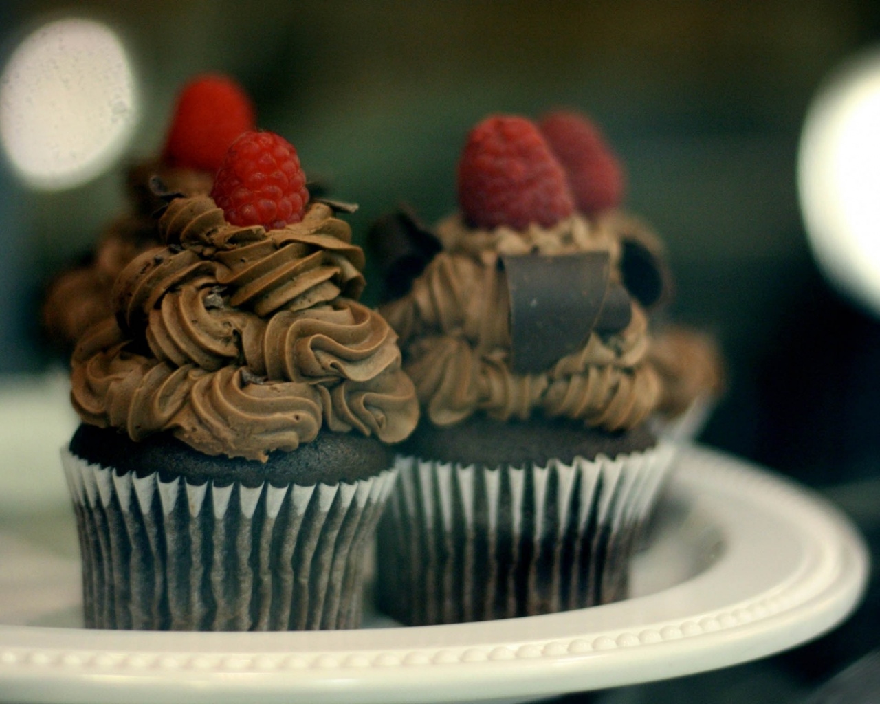 Chocolate Muffins