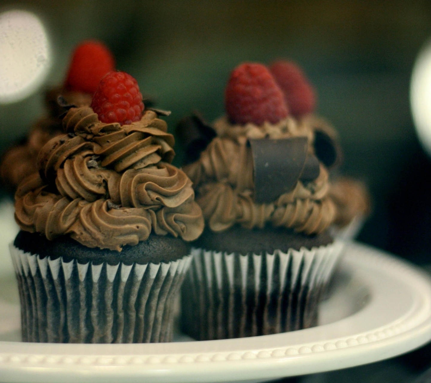 Chocolate Muffins