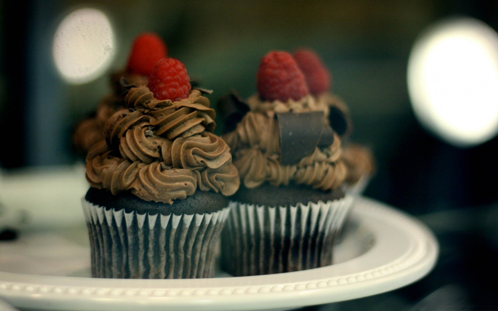 Chocolate Muffins