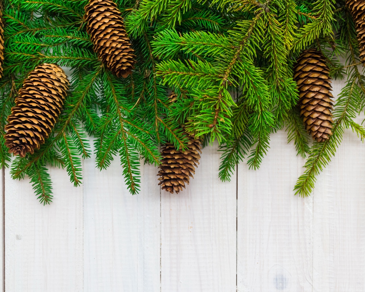 Christmas Branches Pine Cone