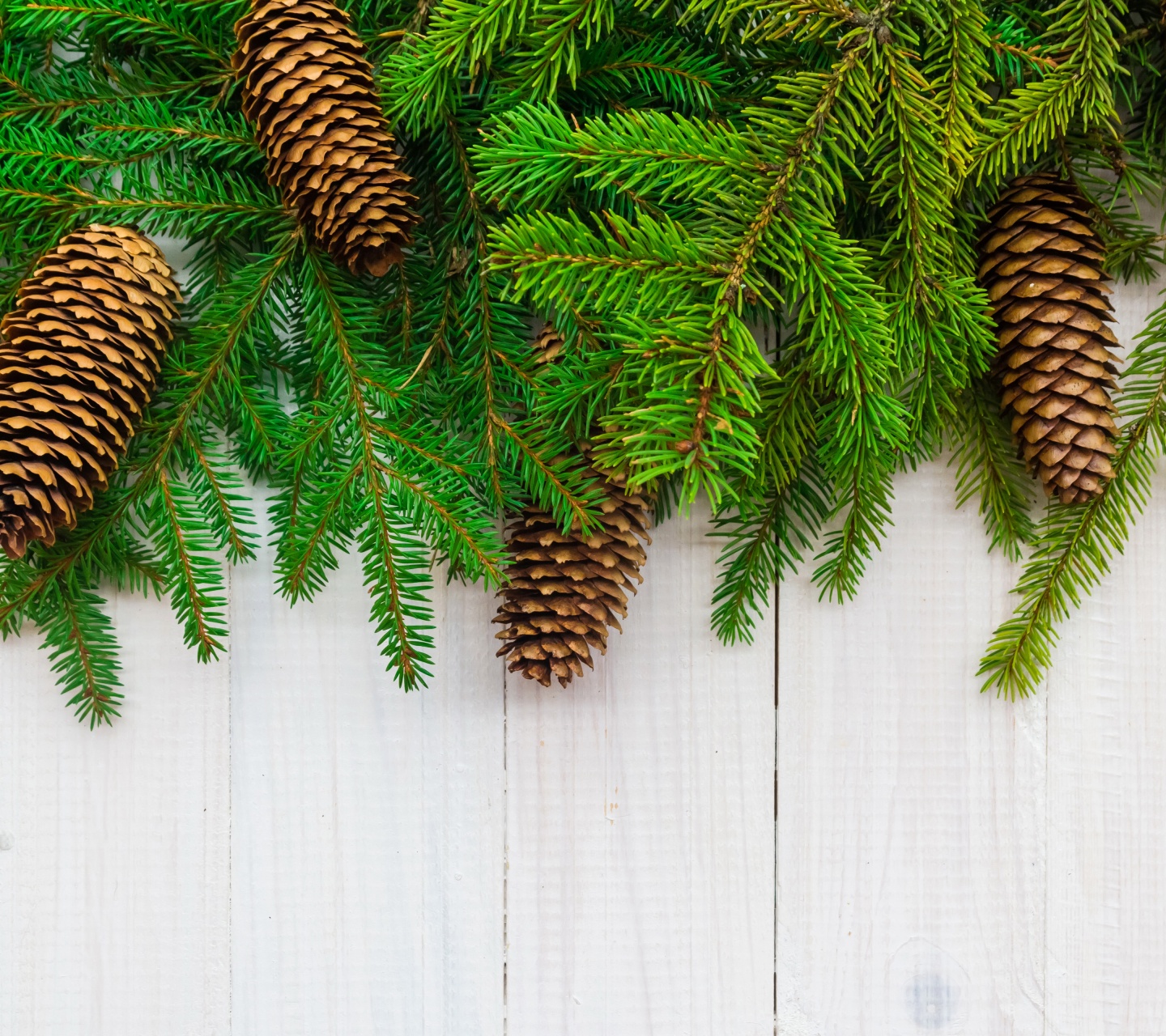 Christmas Branches Pine Cone