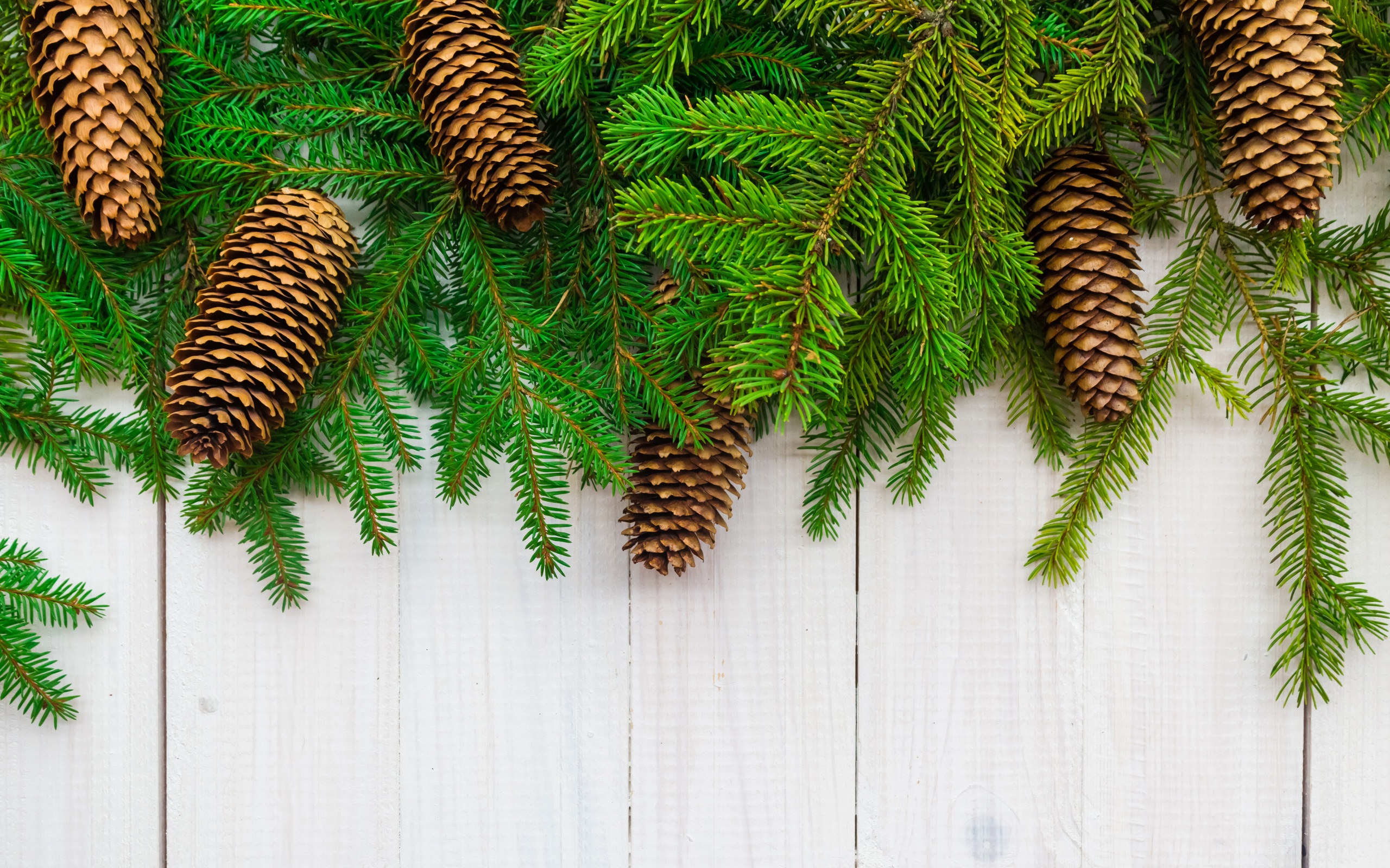 Christmas Branches Pine Cone