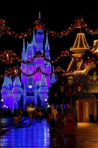 Christmas Castle Disneyland Cinderella Castle Florida Usa