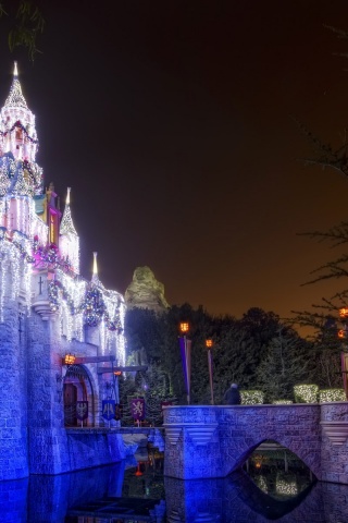 Christmas Castle Disneyland Walt Disney