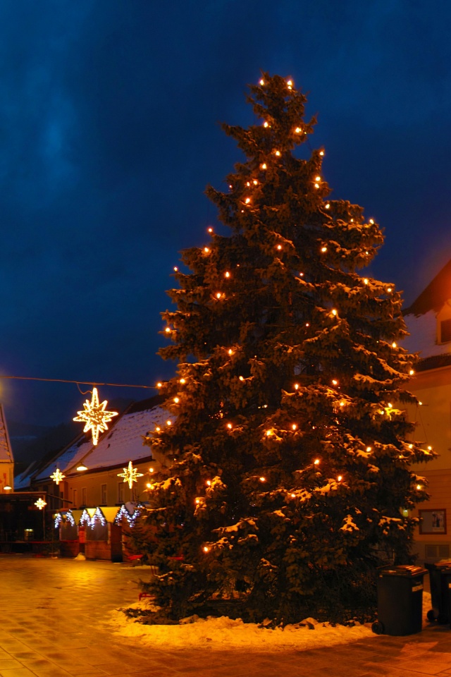 Christmas Tree On Street In Austria