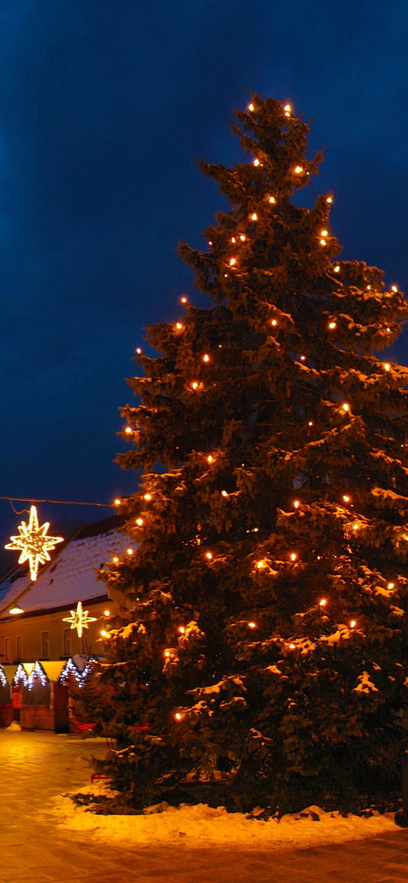 Christmas Tree On Street In Austria