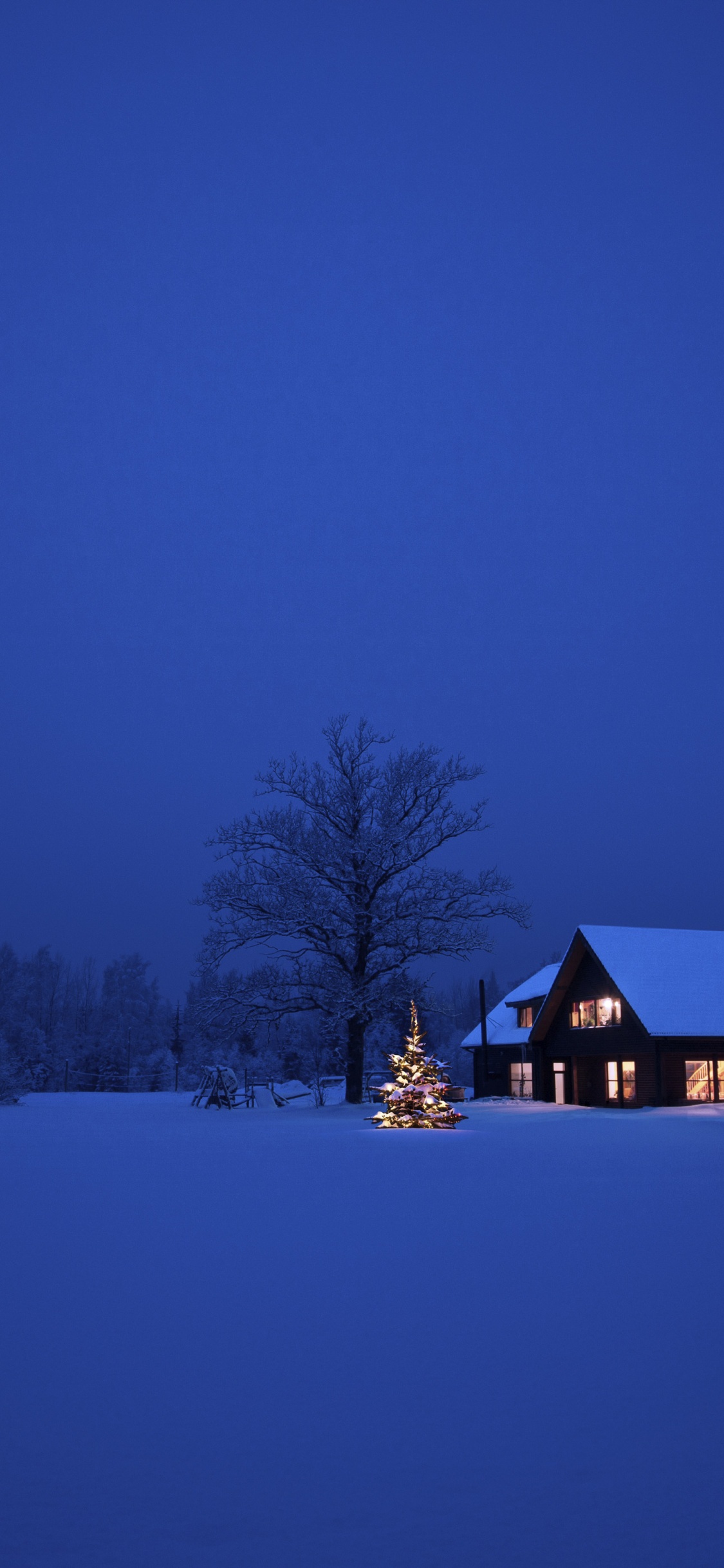 Christmas Winter Night