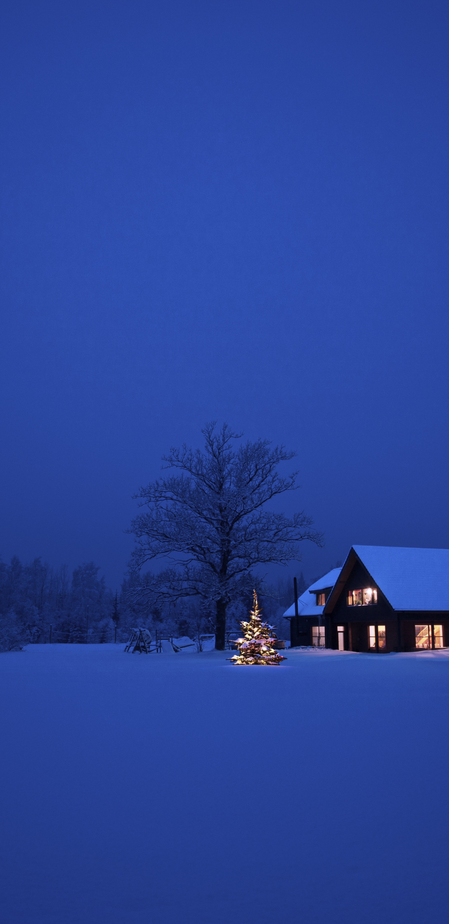 Christmas Winter Night