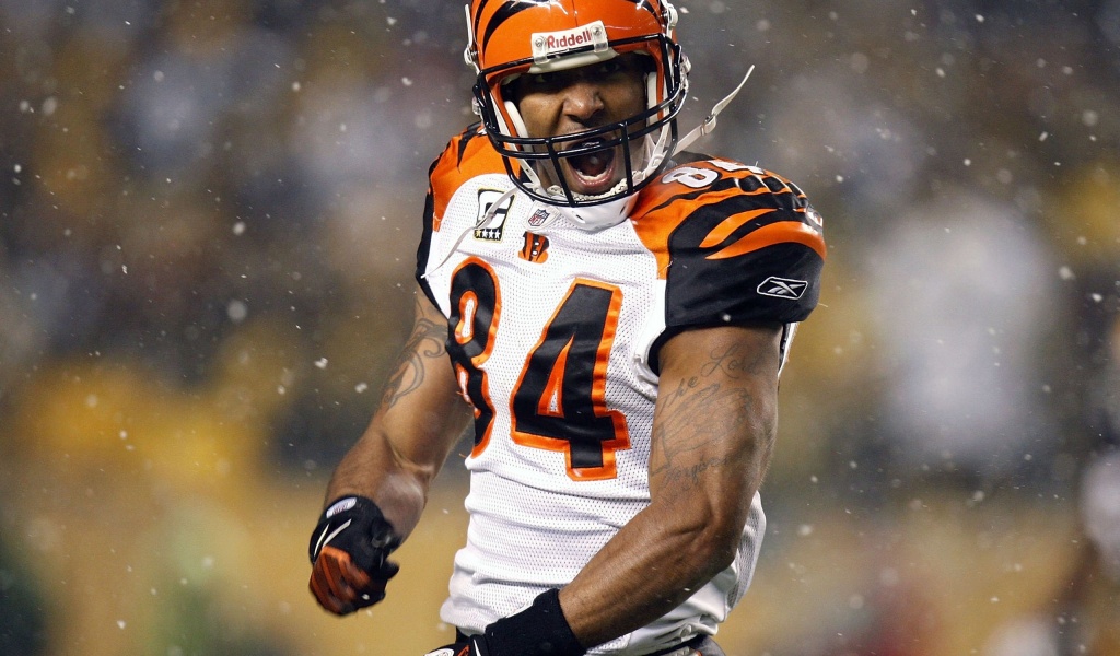 Cincinnati Bengals American Football Receiver Tj Houshmandzadeh