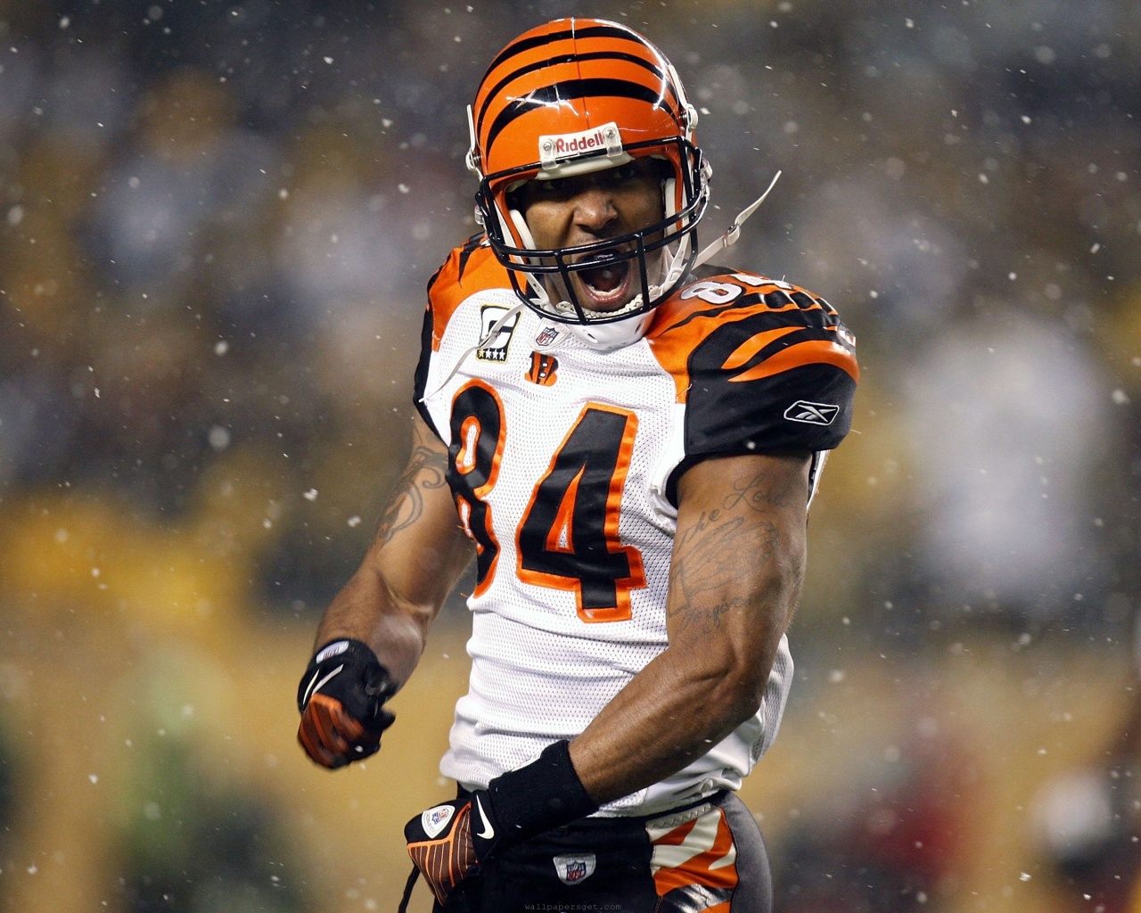 Cincinnati Bengals American Football Receiver Tj Houshmandzadeh