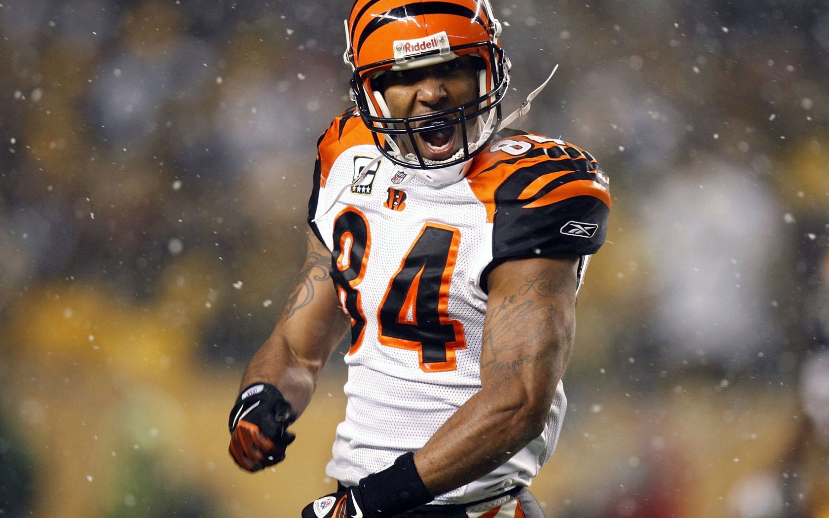 Cincinnati Bengals American Football Receiver Tj Houshmandzadeh