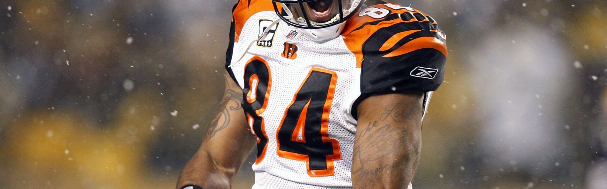 Cincinnati Bengals American Football Receiver Tj Houshmandzadeh