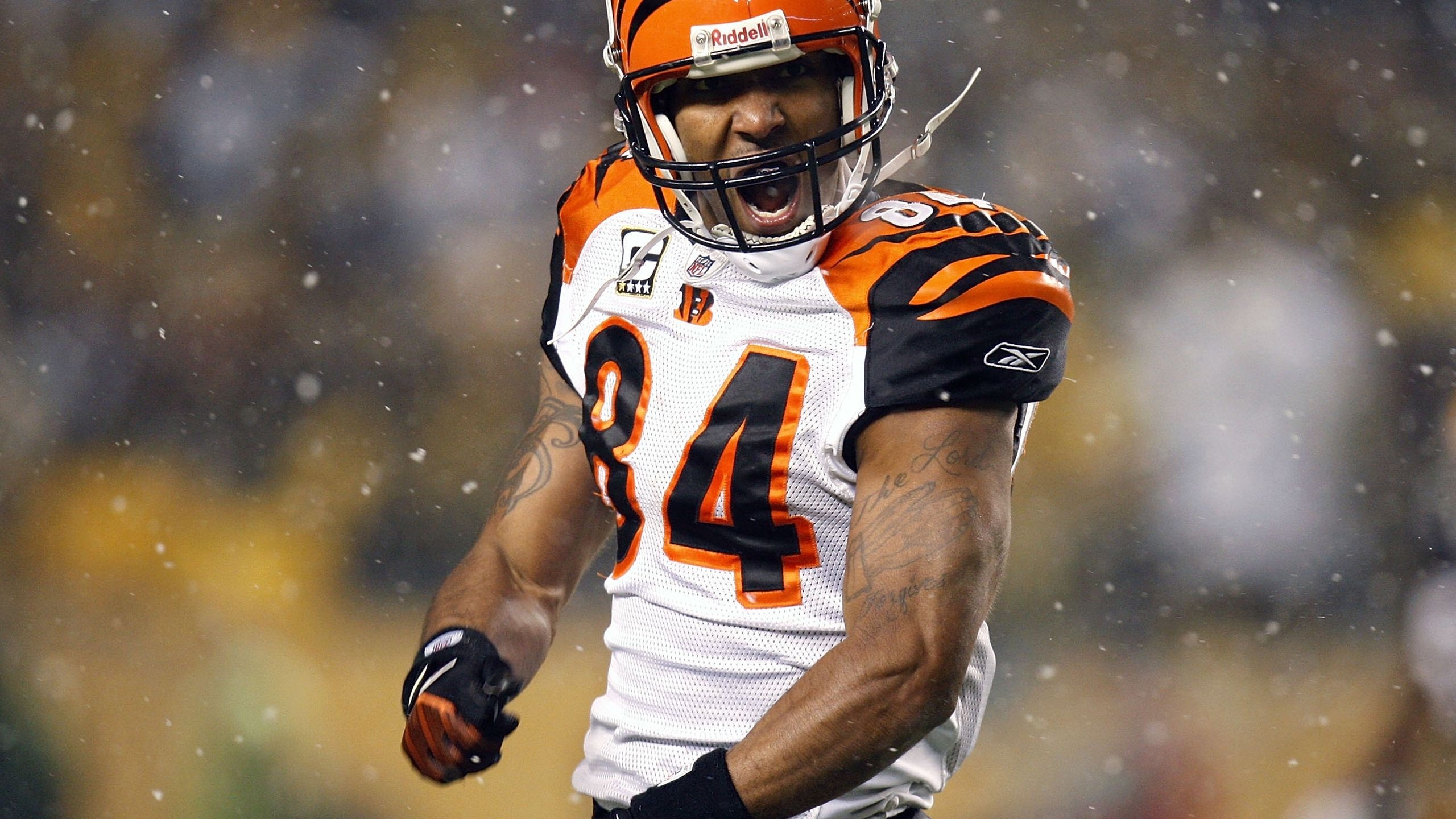 Cincinnati Bengals American Football Receiver Tj Houshmandzadeh