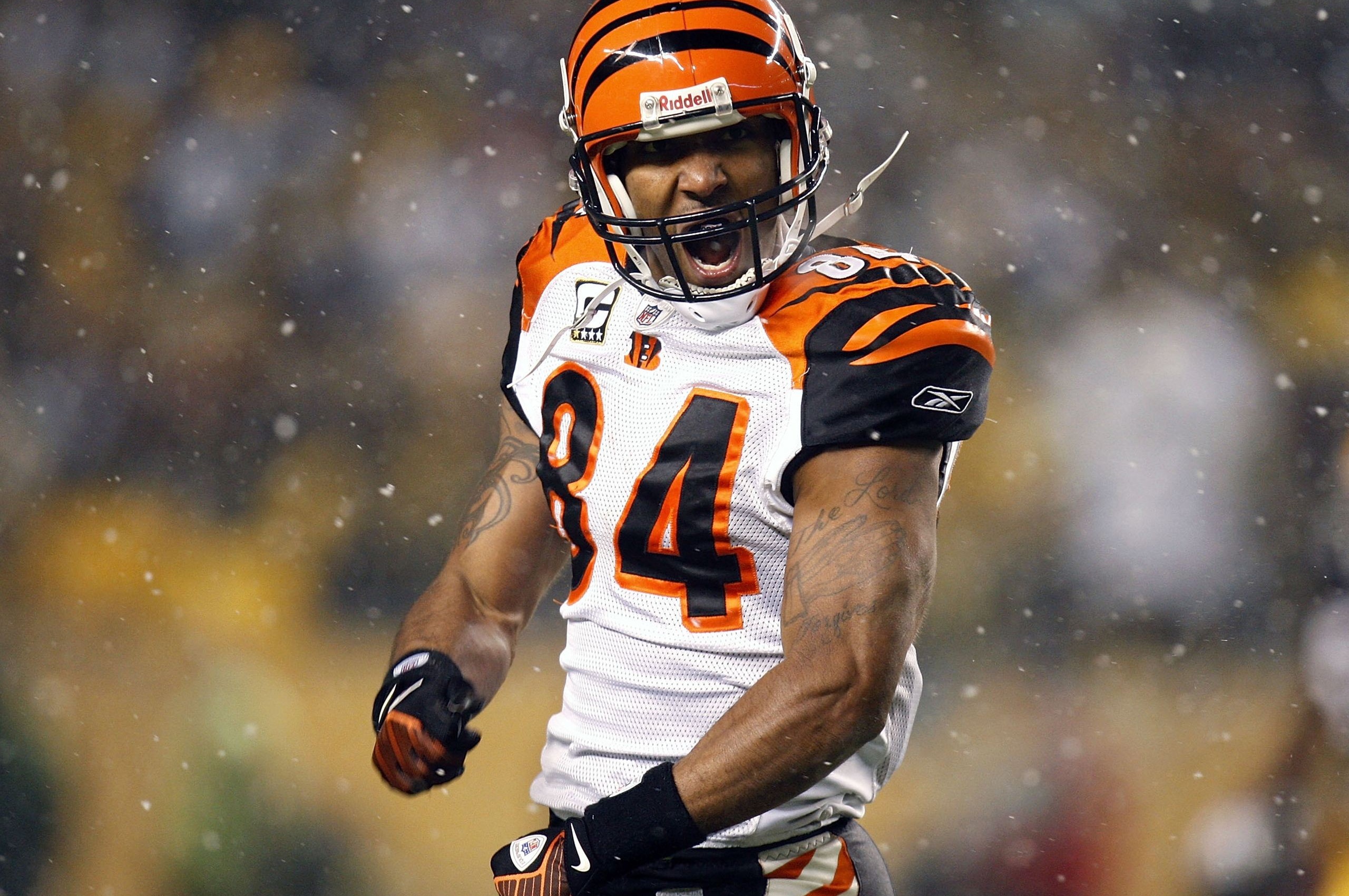 Cincinnati Bengals American Football Receiver Tj Houshmandzadeh