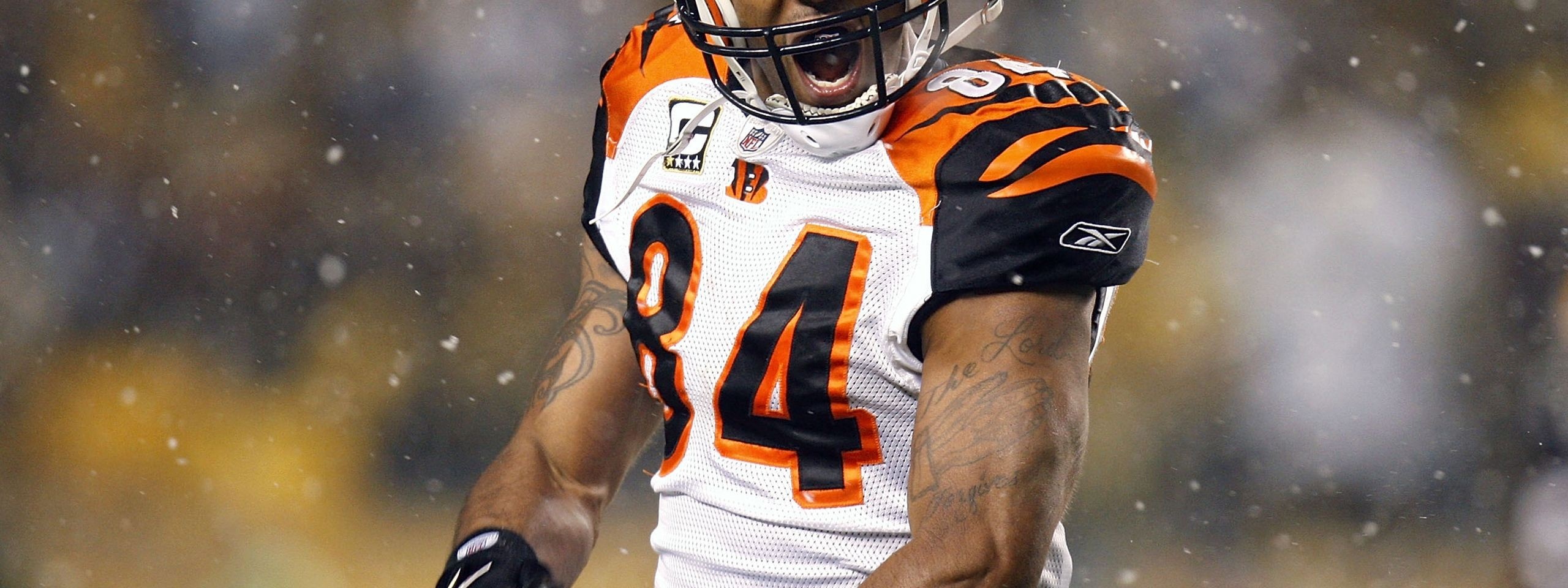 Cincinnati Bengals American Football Receiver Tj Houshmandzadeh