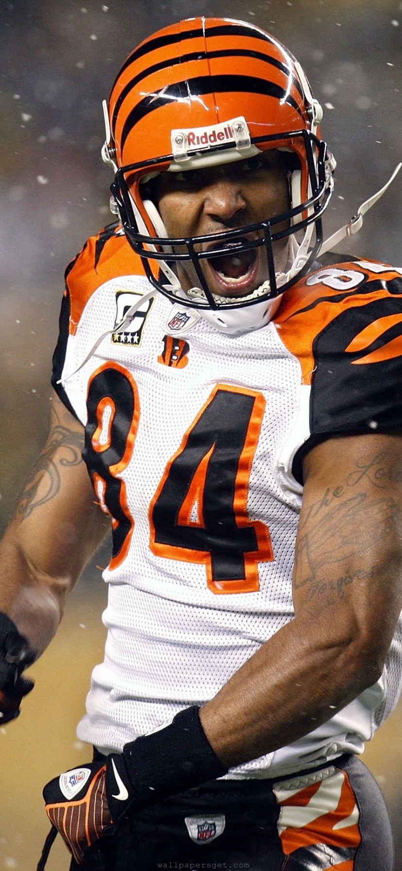 Cincinnati Bengals American Football Receiver Tj Houshmandzadeh