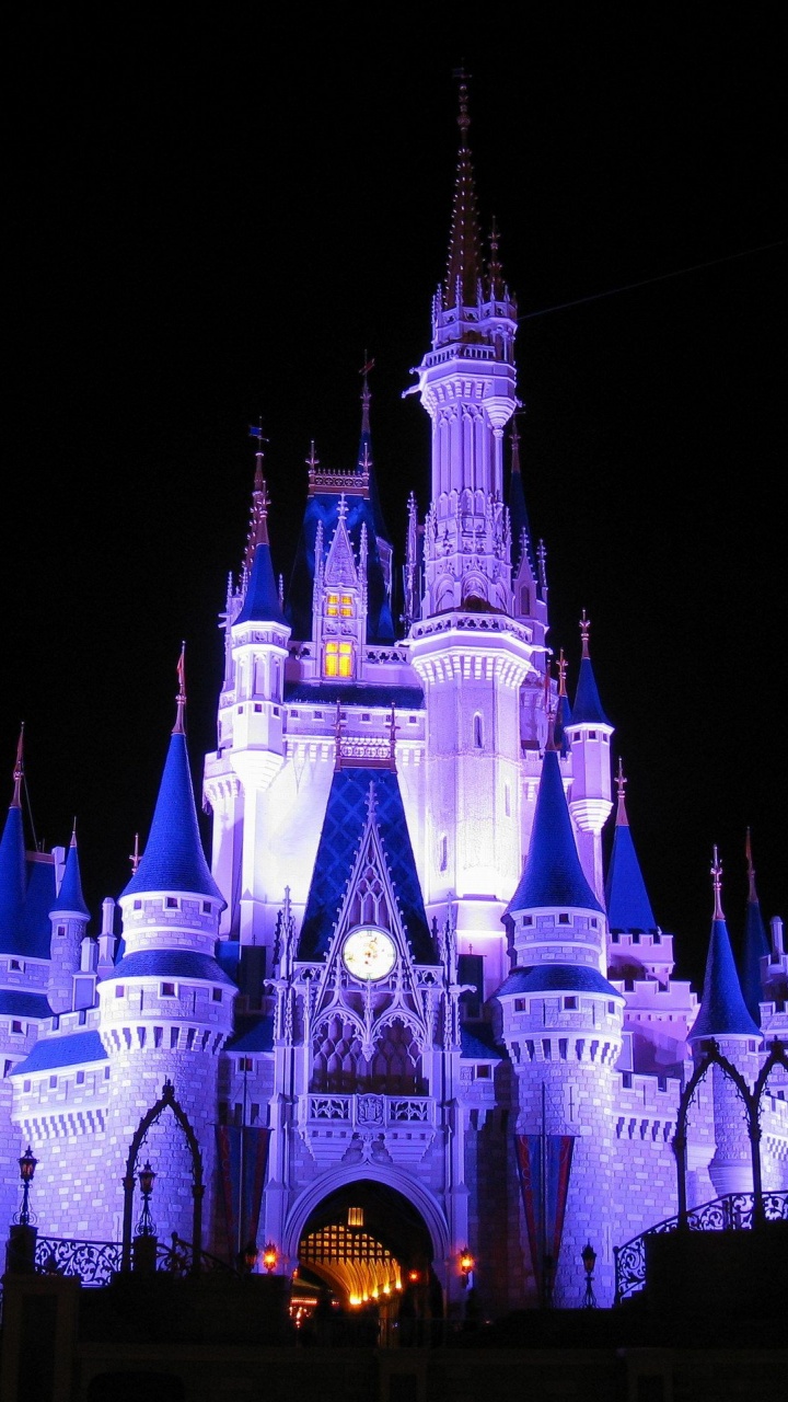 Cinderella Castle Disneyland