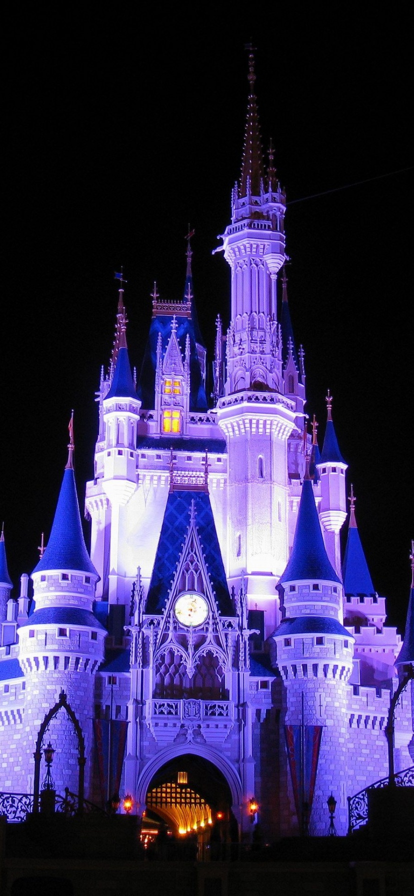 Cinderella Castle Disneyland