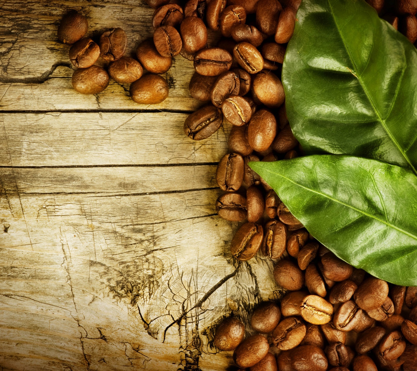 Coffee Beans And Leaves