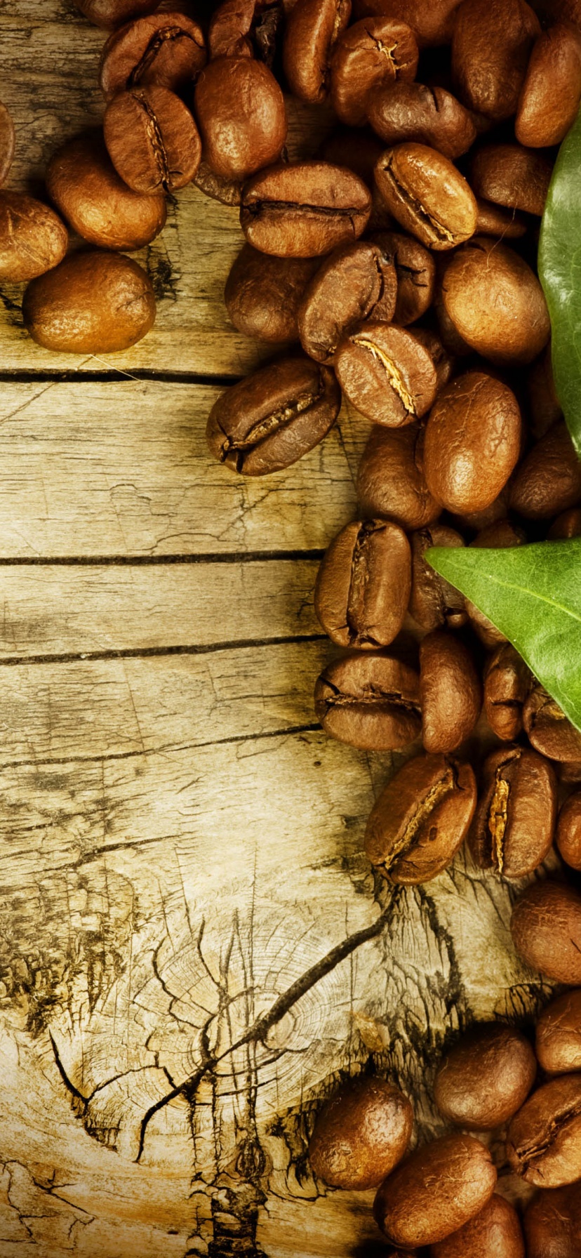 Coffee Beans And Leaves