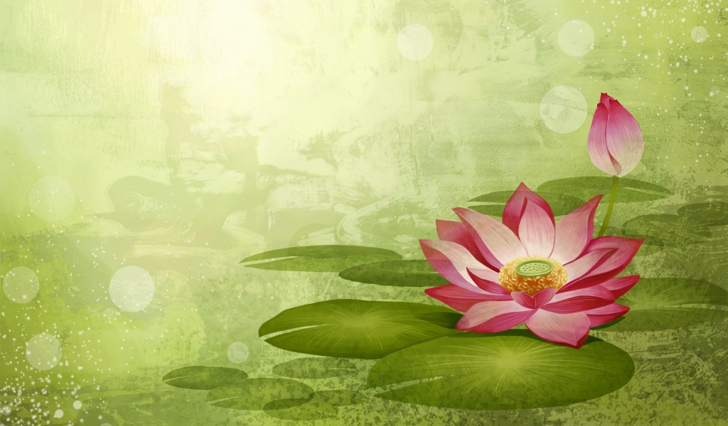 Colorful Lotus Flowers Nature Art