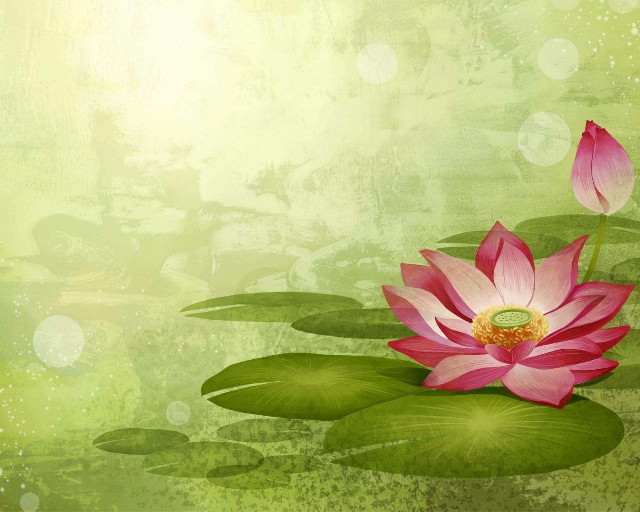 Colorful Lotus Flowers Nature Art