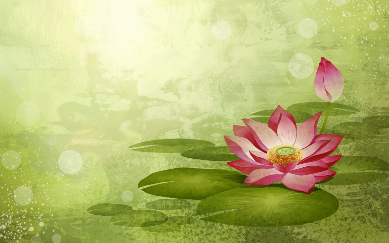 Colorful Lotus Flowers Nature Art