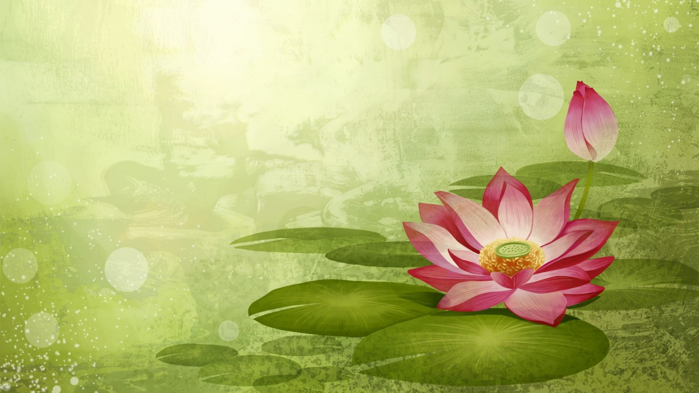 Colorful Lotus Flowers Nature Art