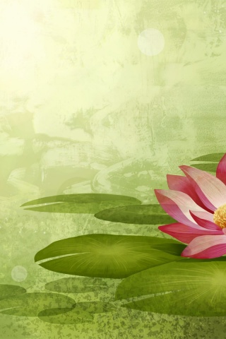 Colorful Lotus Flowers Nature Art