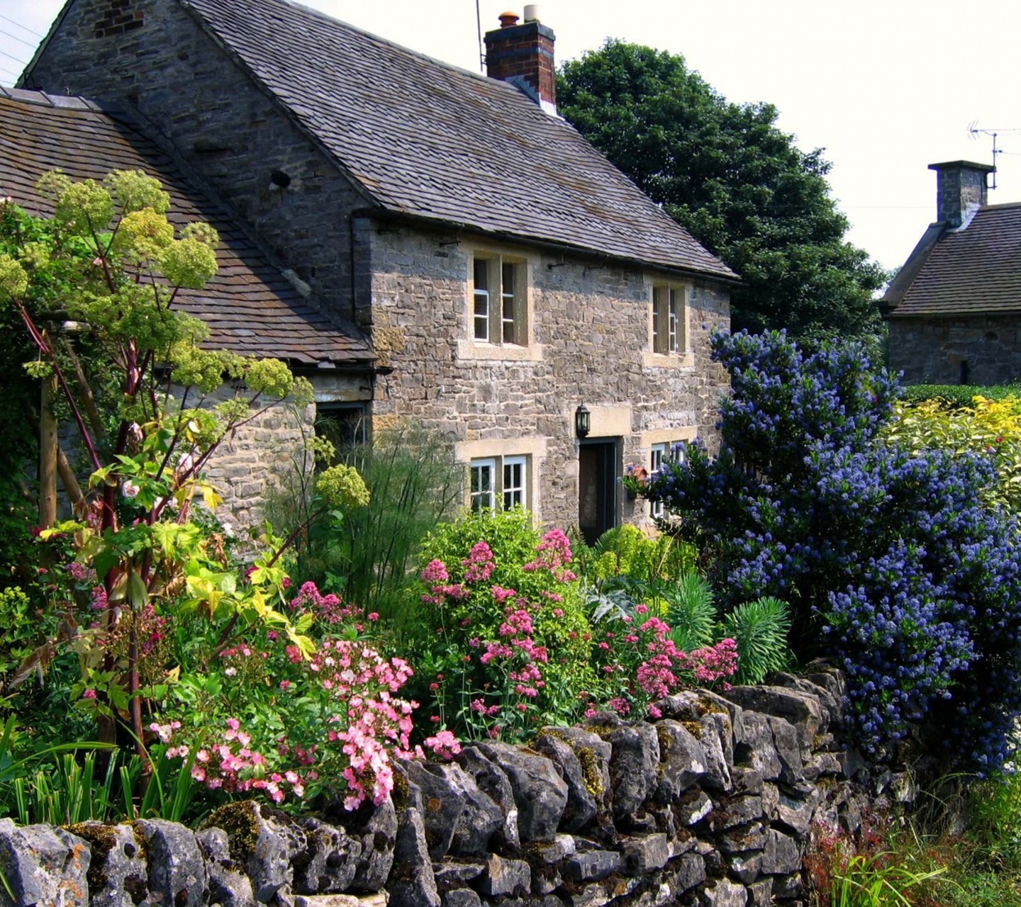 Cottage Garden In Tissington Derbyshire