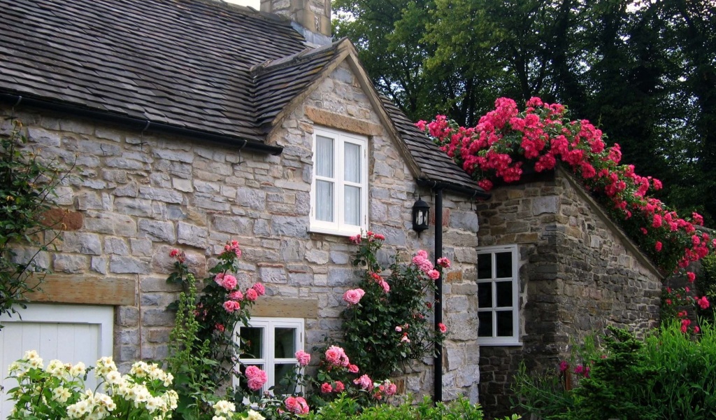 Cottage With Roses Village Of Thorpe Tissington Trail Derbyshire