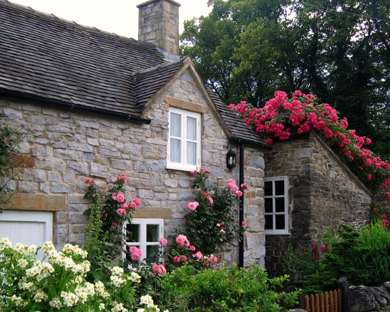 Cottage With Roses Village Of Thorpe Tissington Trail Derbyshire